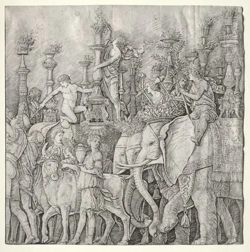 The Triumphs of Caesar: The Elephants