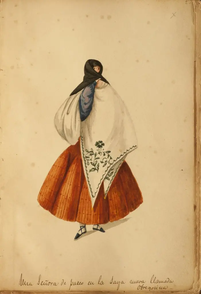 A lady walking with the new scarf