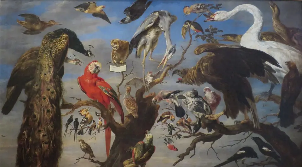 Bird's Concert