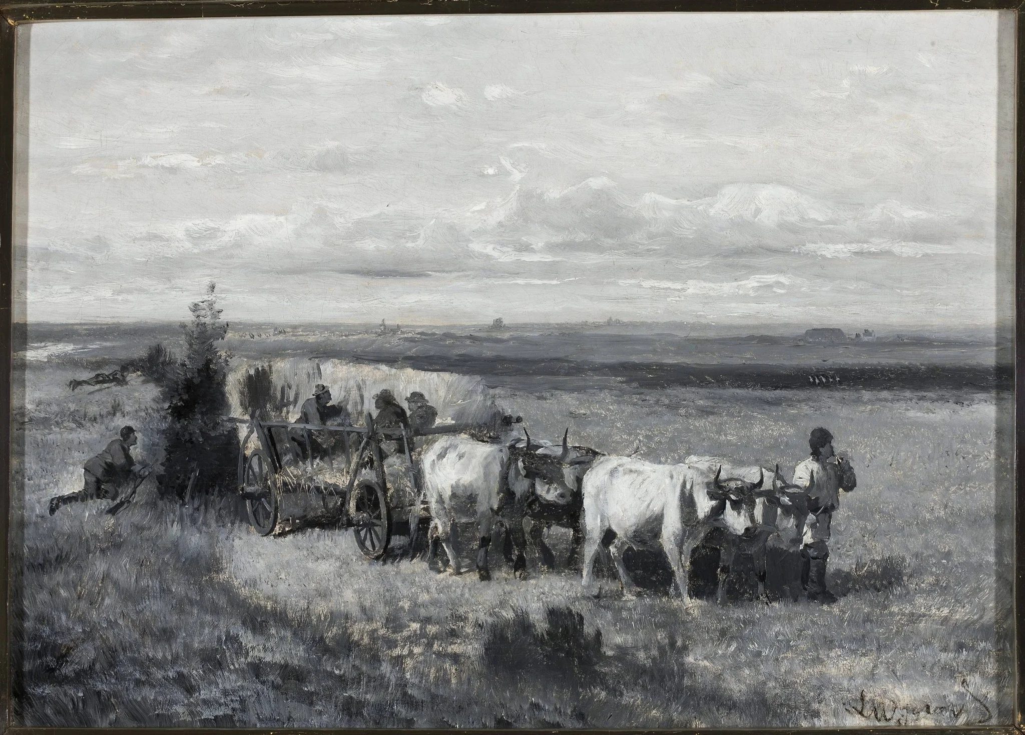 Hunting bustards