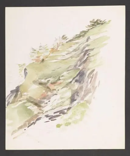 Study of a hillside path with ferns