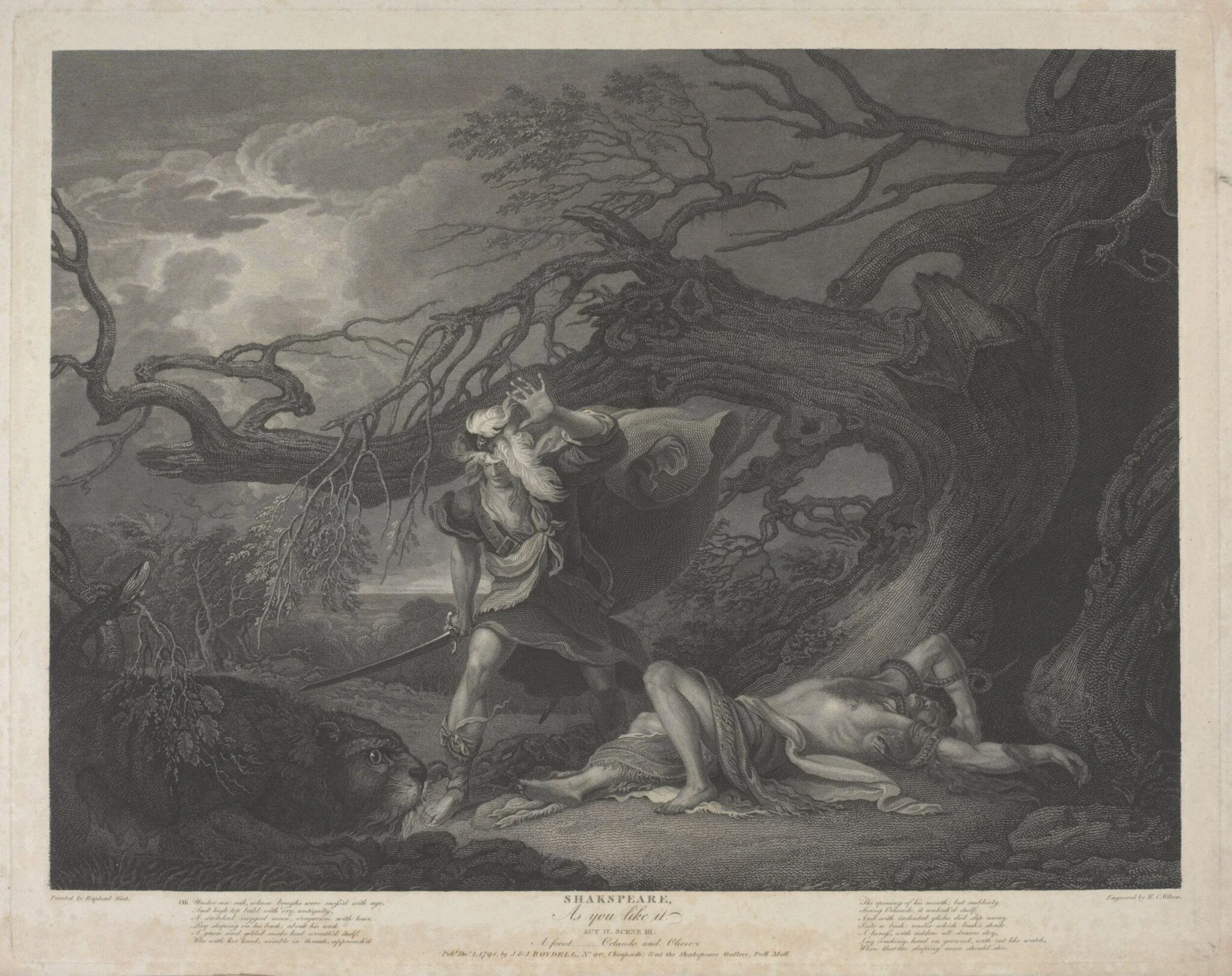 H Beard Print Collection
