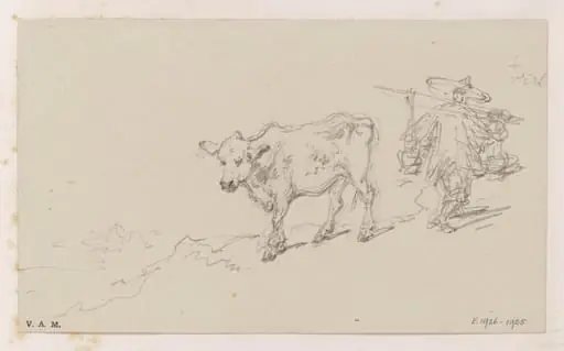 A Chinese porter and a cow