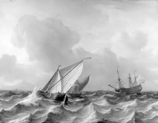 The Sea in Motion