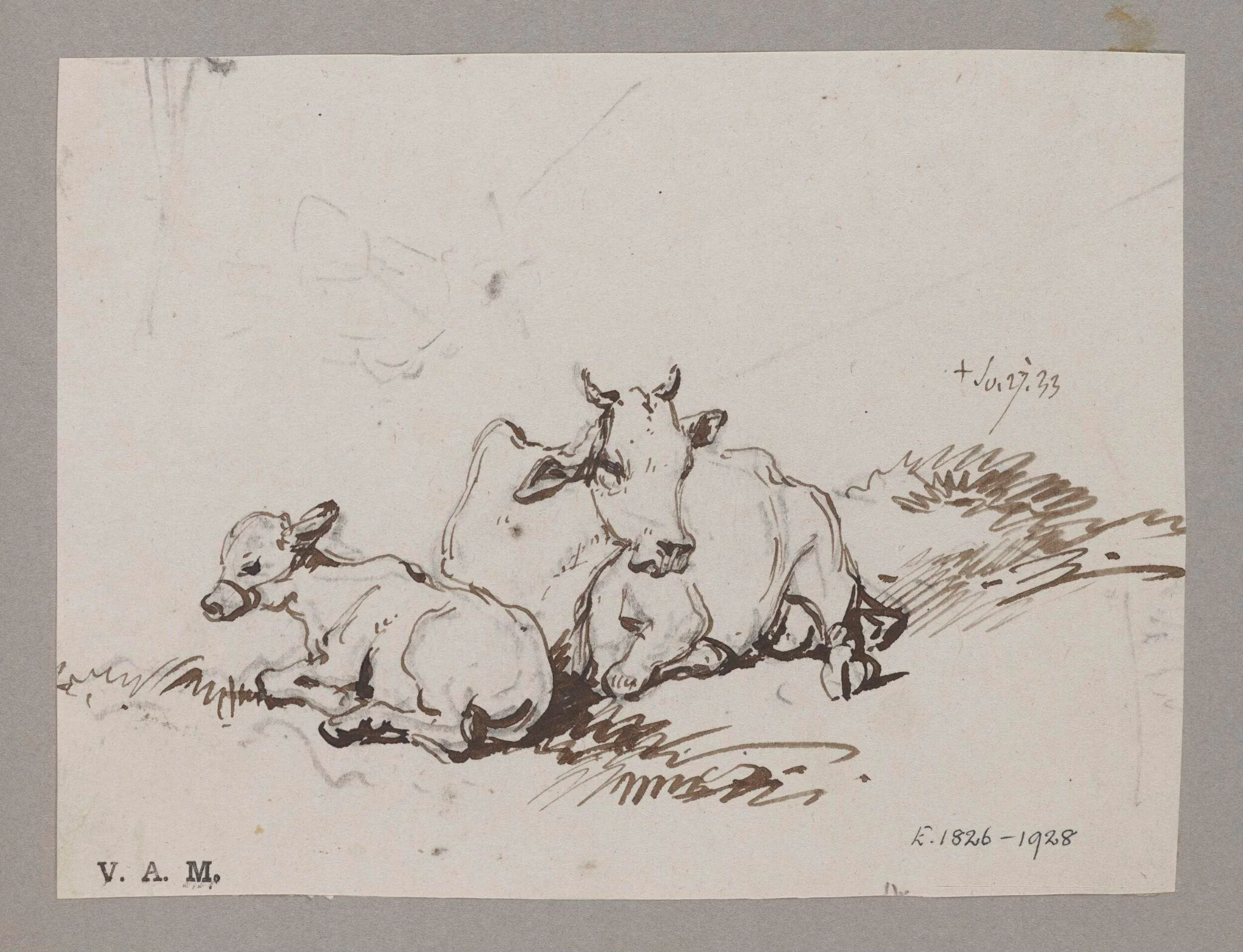 A cow and calf, by George Chinnery, 17