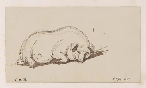 A pig