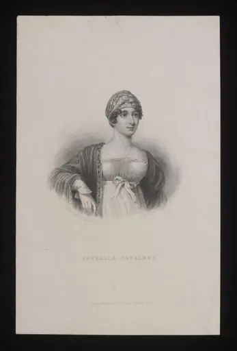 H Beard Print Collection