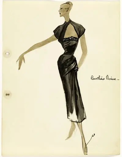 'Panthère noire'