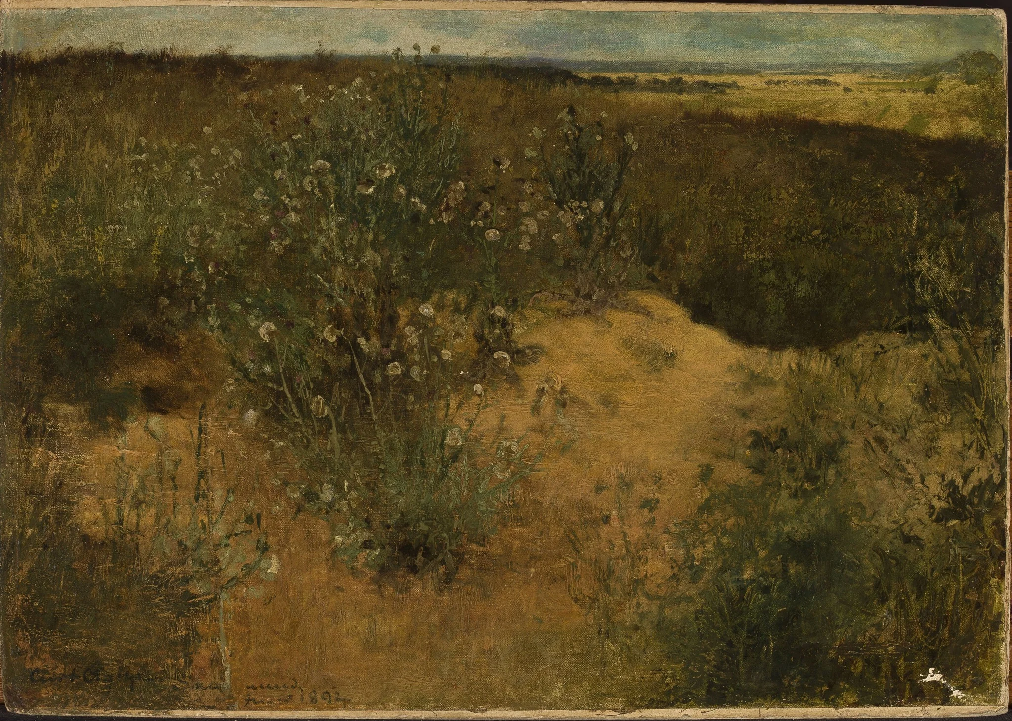 Landscape with thistles, by Curt Agthe, oil, 1896