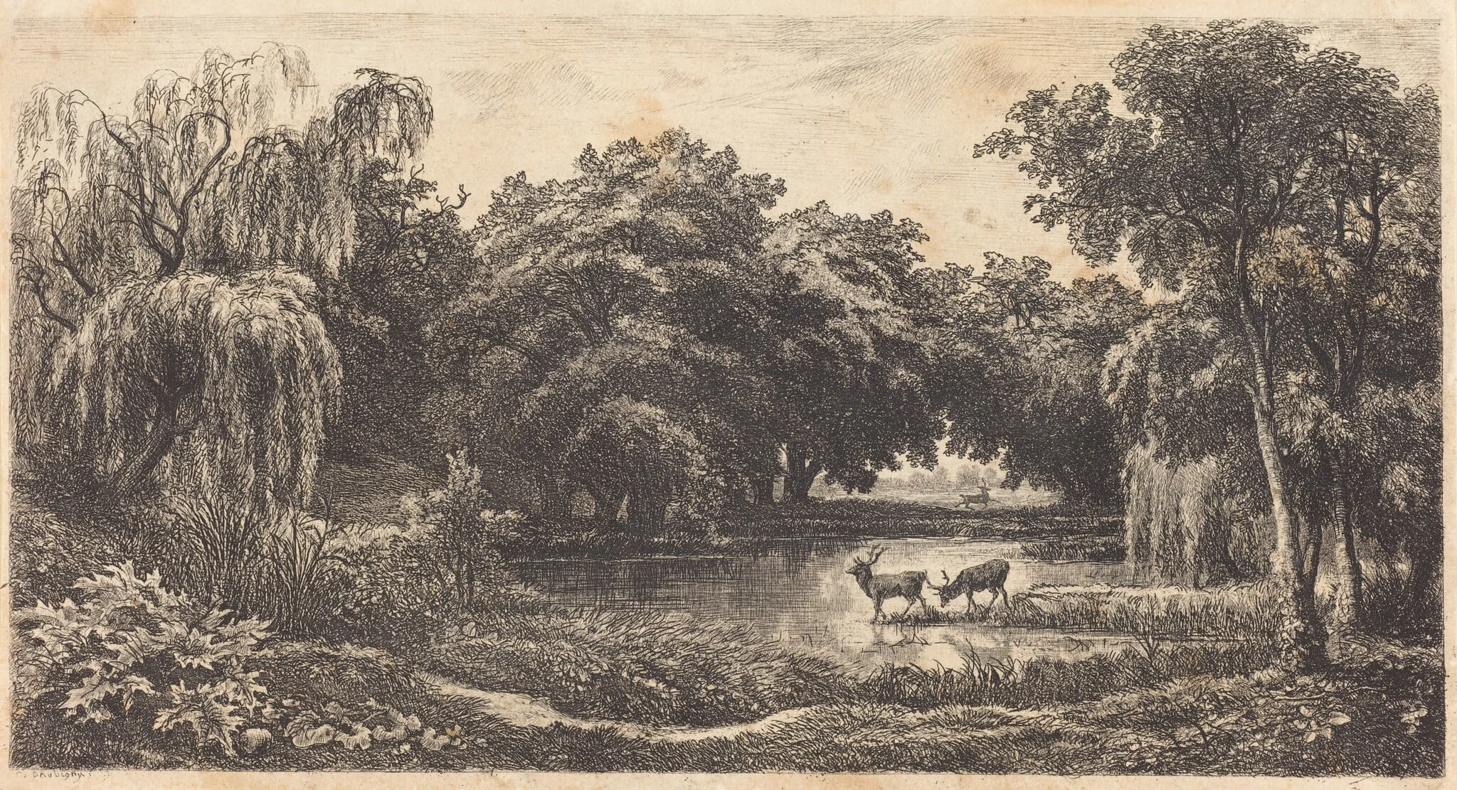 Pool with Deer (La Mare aux cerfs), by Charles François Daubigny, ink, 1845
