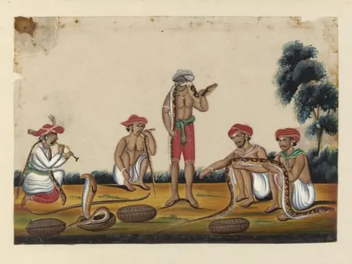 A snake-charmer