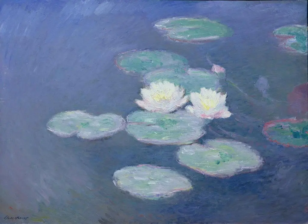 Nympheas, effect in the evening