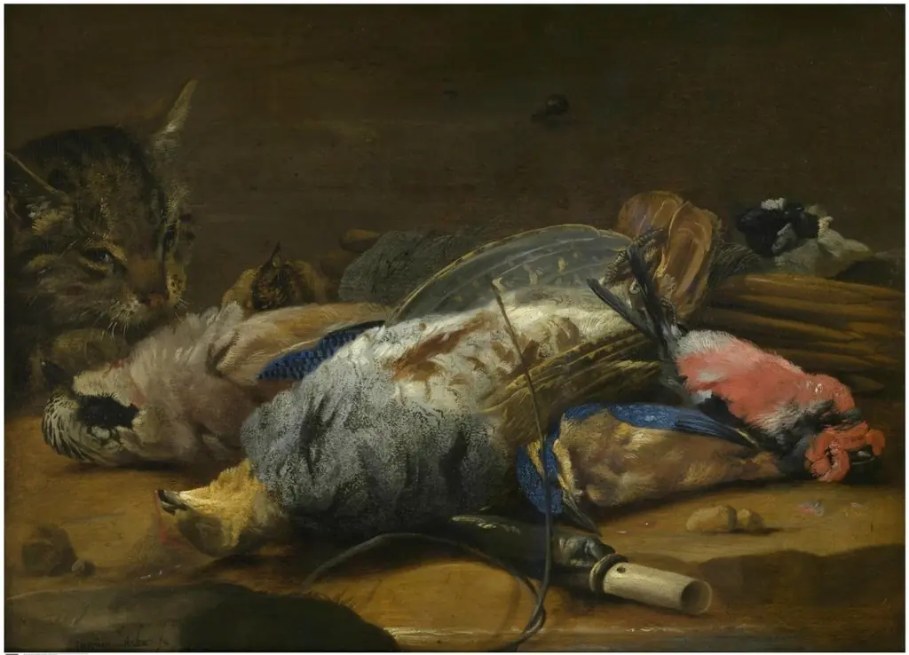 Cat and dead fowl