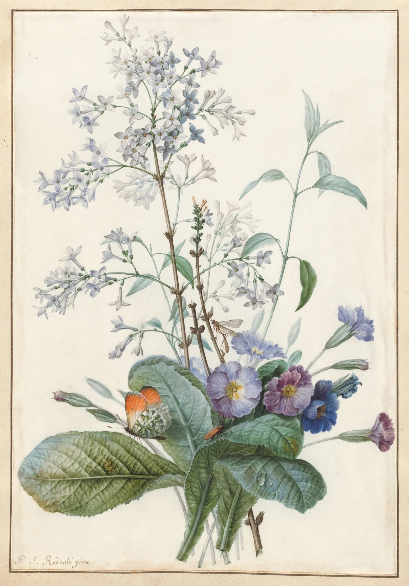 A Bouquet of Flowers with Insects