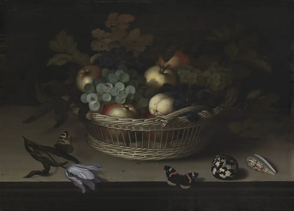 Still Life