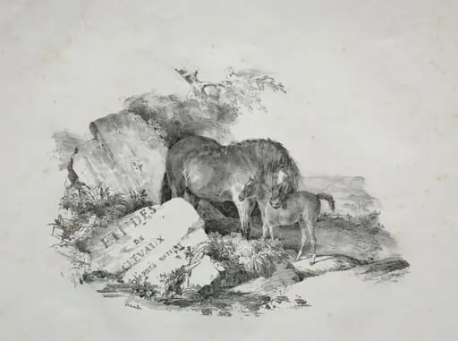The Mare and Her Foal