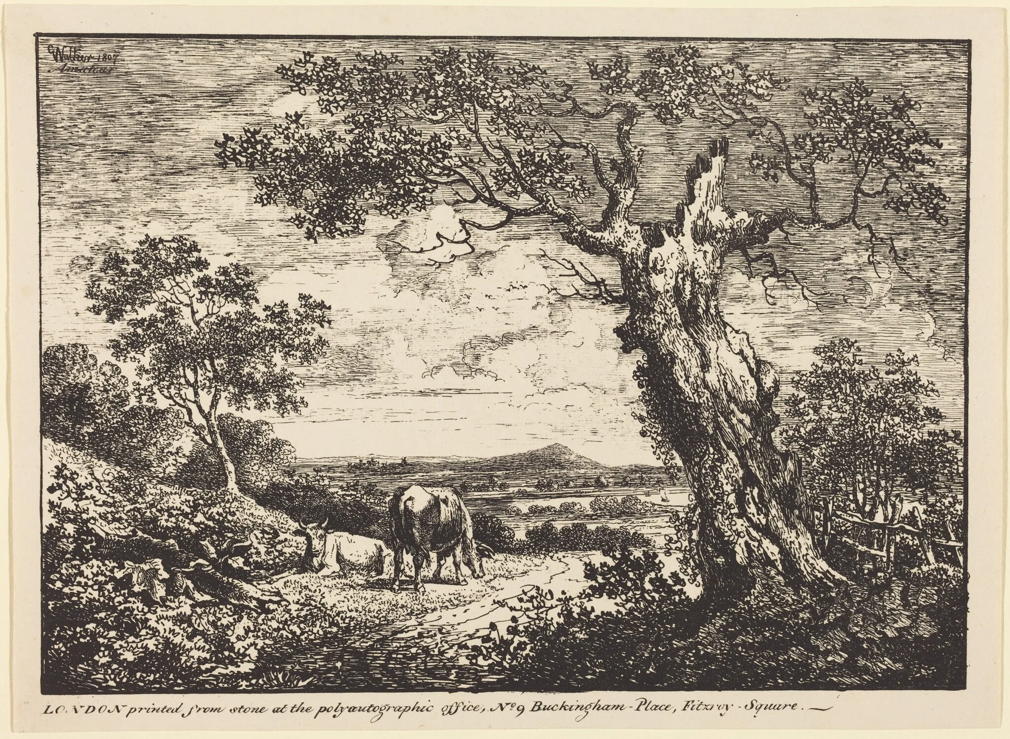 Landscape with Two Cows, by George Walker, ink, 1807