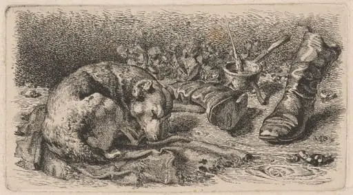 Dog Asleep Beside a Pair of Boots