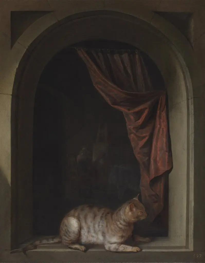 Cat on a Ledge