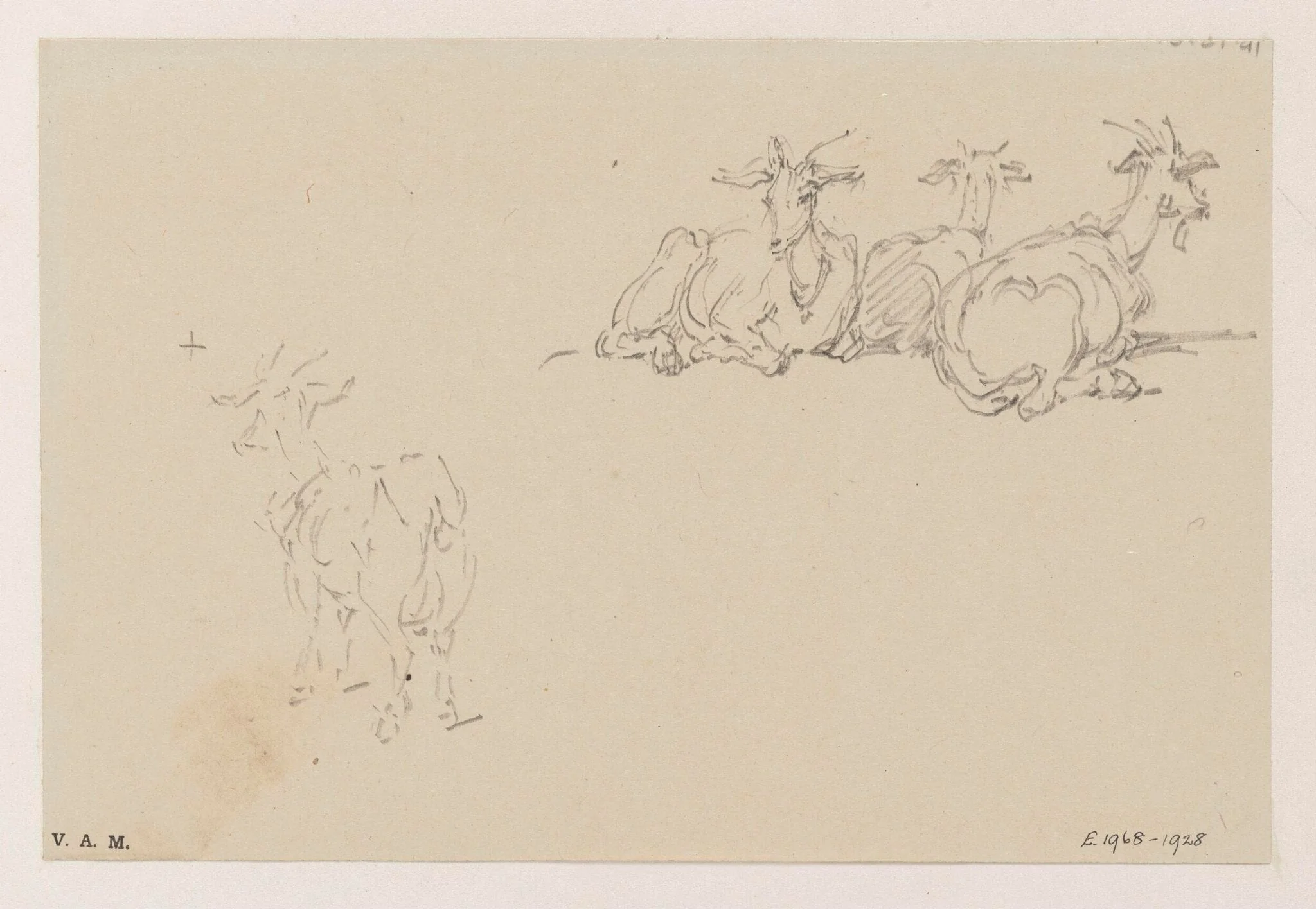 Studies of goats, by George Chinnery, 1