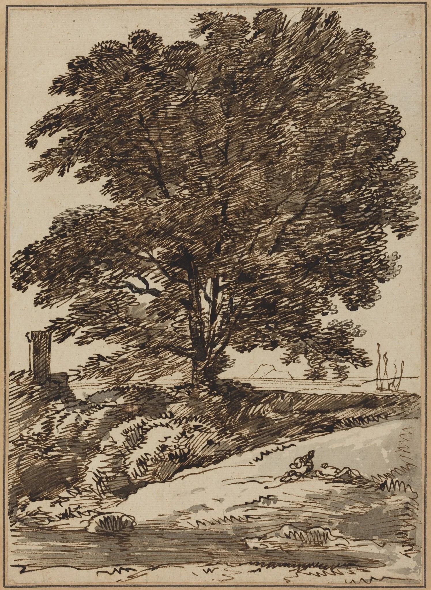 Seacoast with a Great Tree