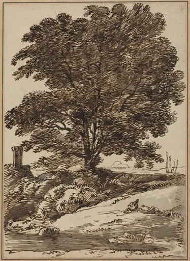 Seacoast with a Great Tree