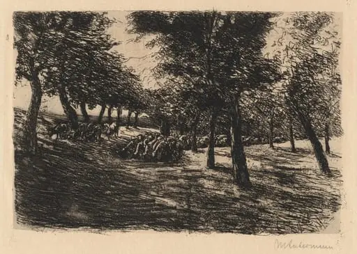 Herd of Sheep Under Trees