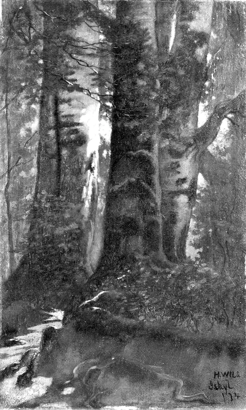 Ischl, Austria, by Hamilton H. Wild, unspecified, 1874