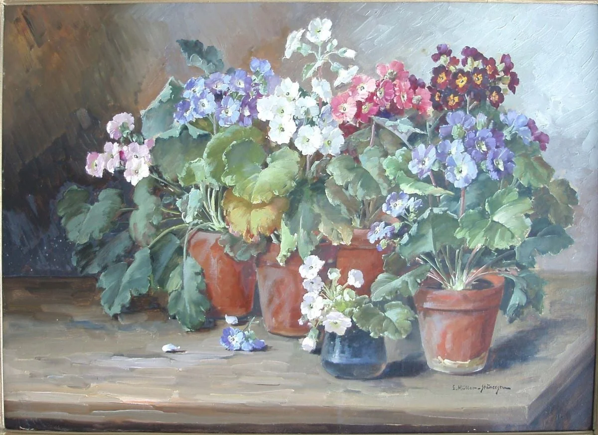 Flori (primule), by Elena Müller-Stăncescu, unspecified