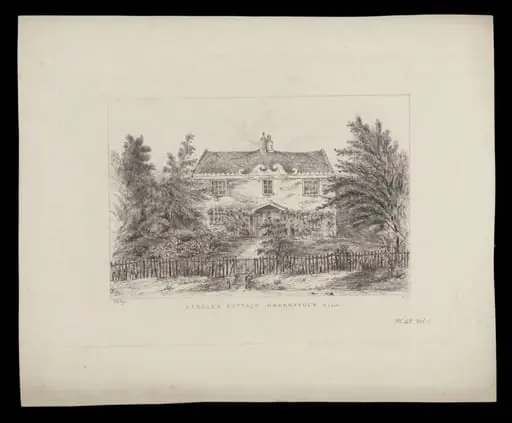 H Beard Print Collection