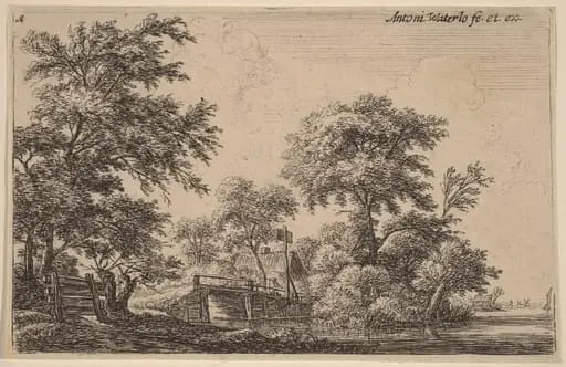 Planks Attached to Four Trees