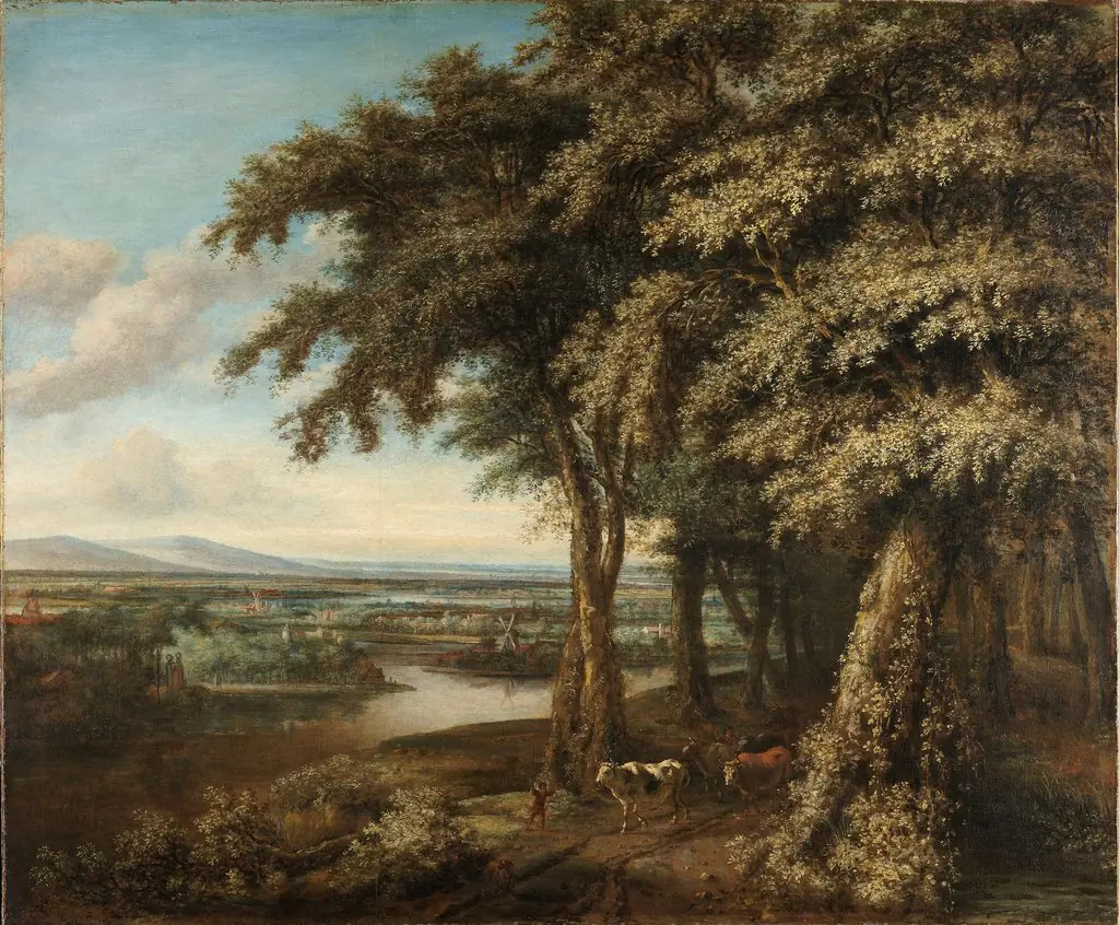 The entrance to the woods