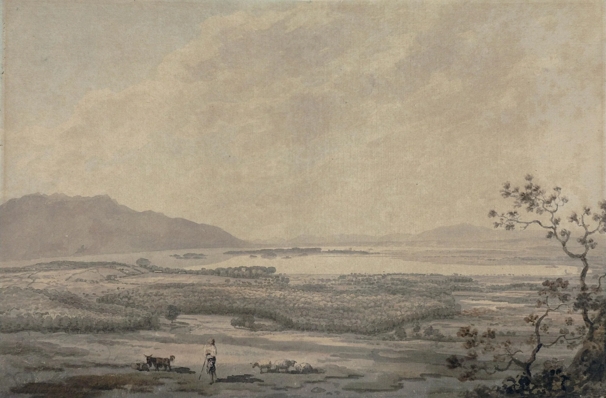 Killarney from the Hills above Muckross