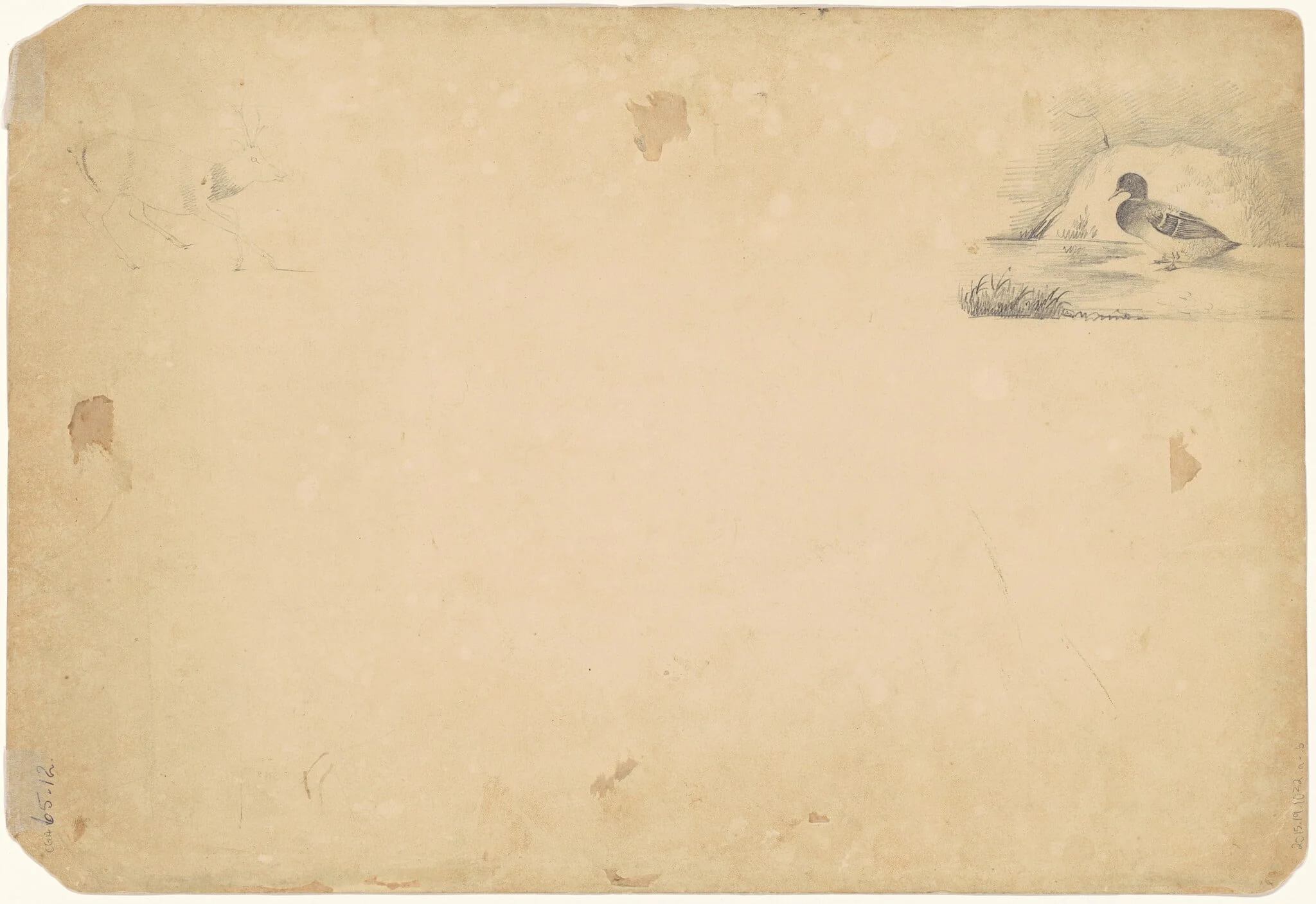 A Duck and a Stag [verso], by Paul Lacroix, graphite, 1831