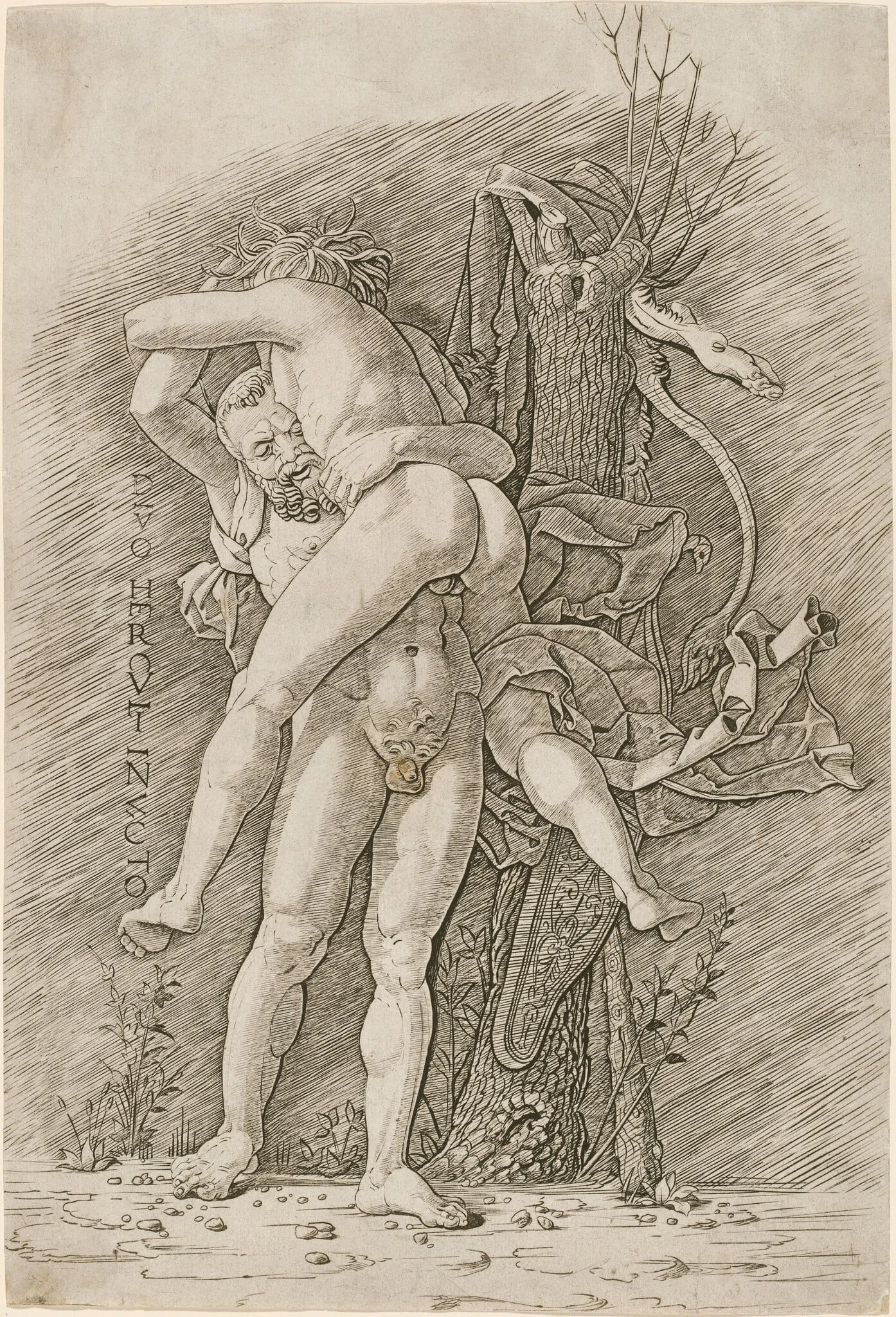 Hercules and Antaeus, by Andrea Mantegna, ink, 1495