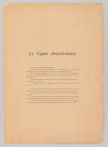 The Vintages: The Vintages!