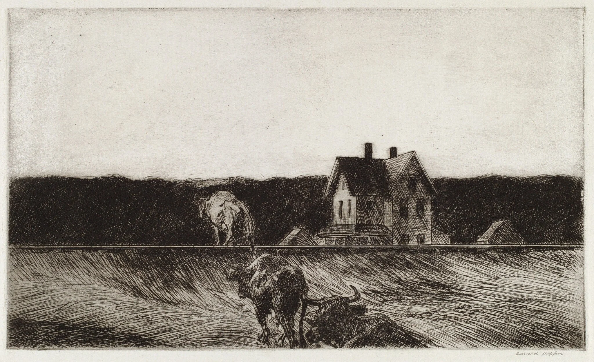 American Landscape