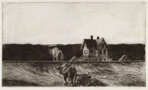 American Landscape