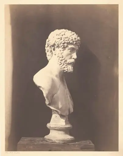 Portrait of Roman Male