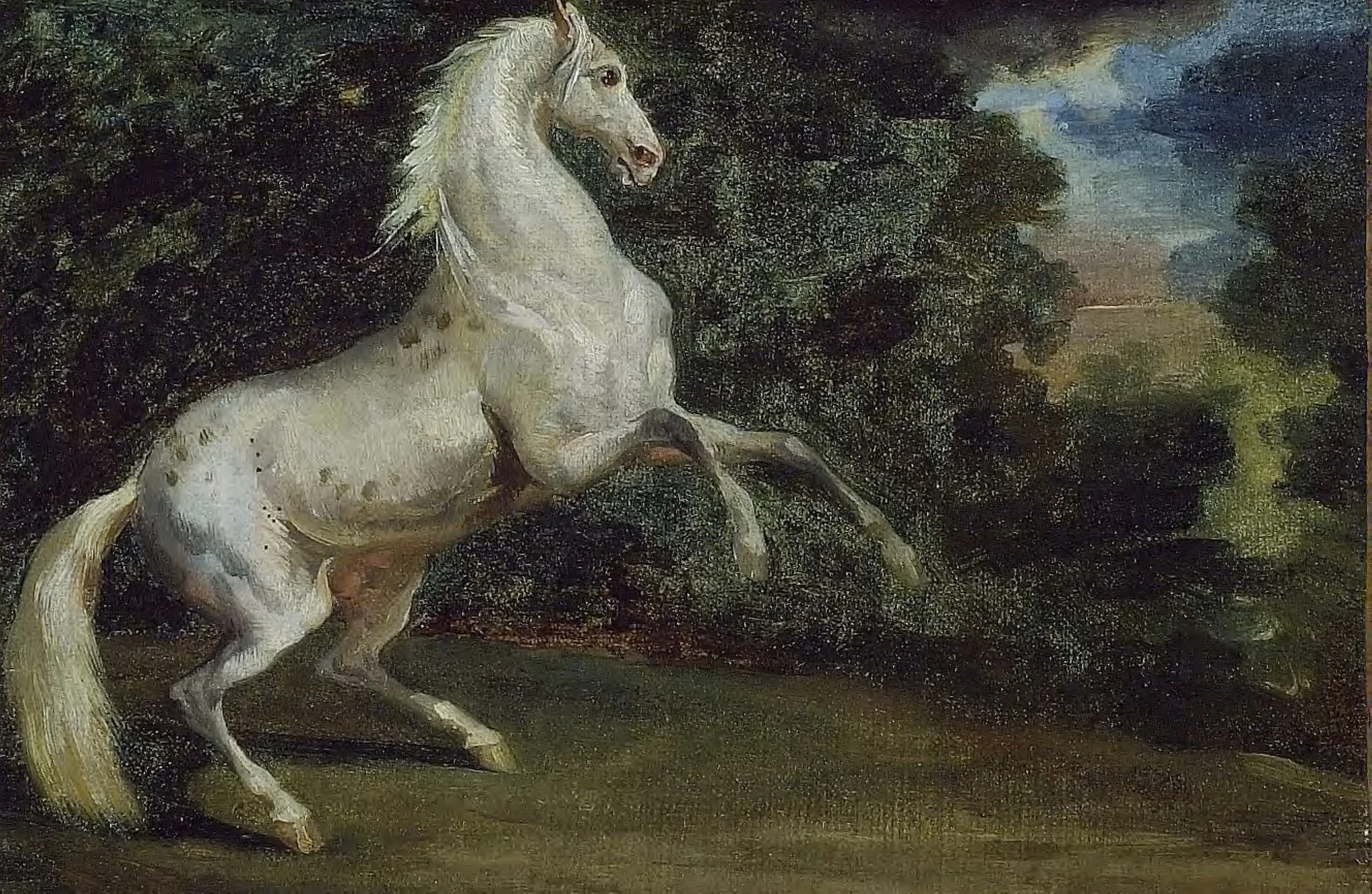 Prancing Horse, by Unknown, oil, 1810