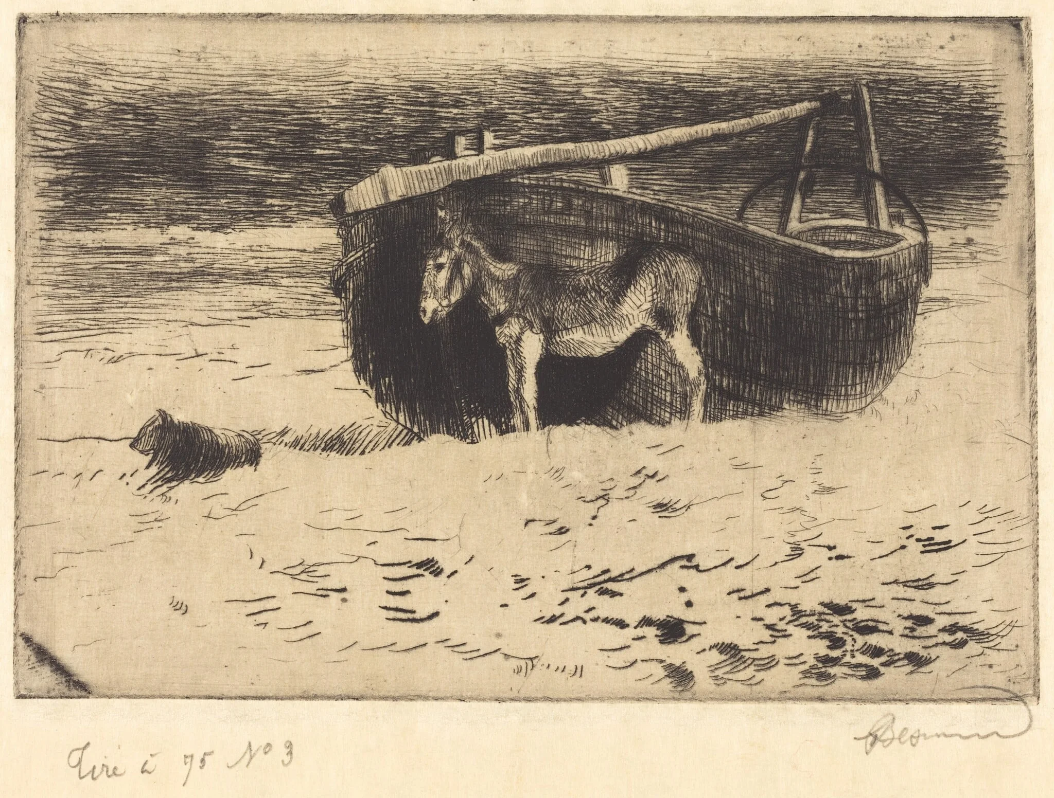 Small Donkey at Berck (Un petit ane à Berck), by Paul-Albert Besnard, ink, 1897