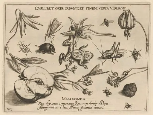 Archetypa studiaque patris Georgii Hoefnagelii [Part 3, Plate 10]