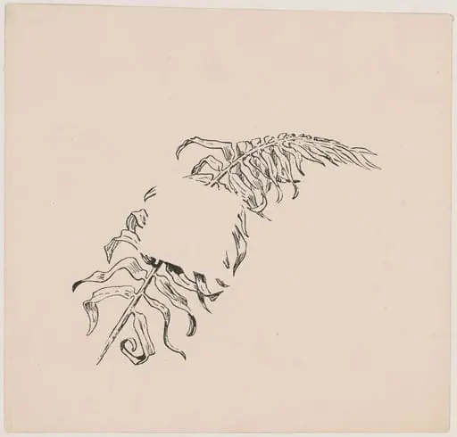 Branch