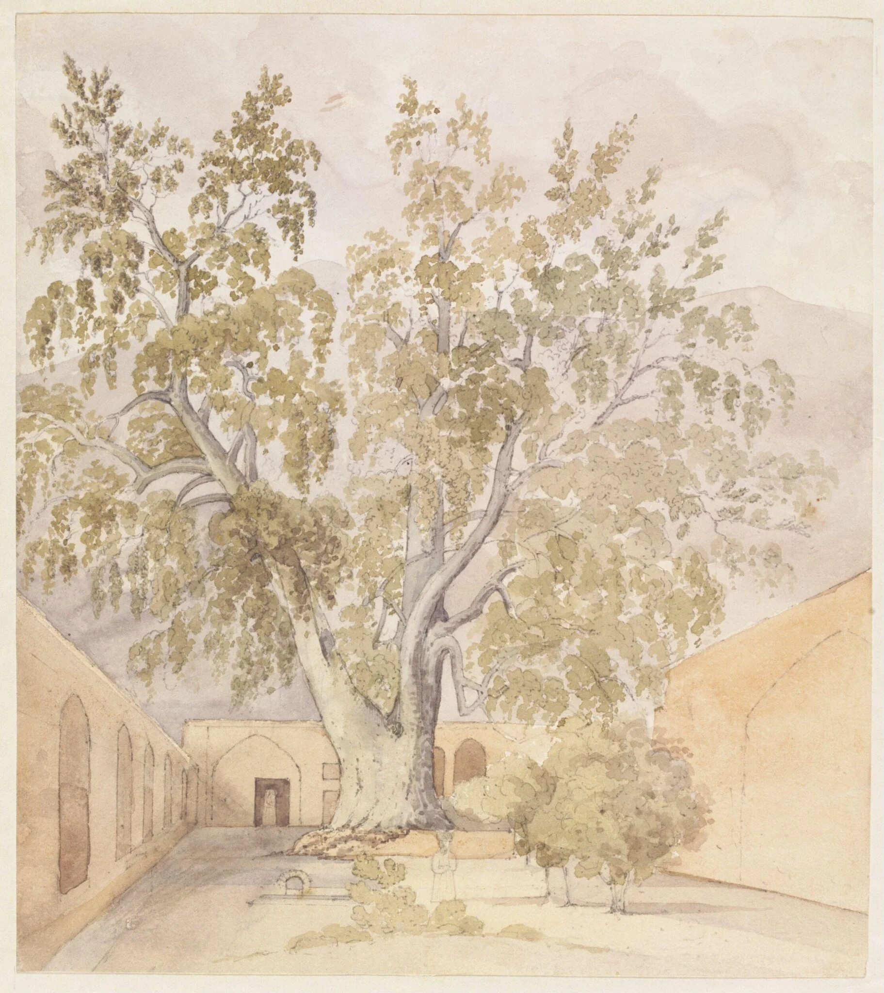 Plane Tree (Chenar) Shemaroon near Tehran Persia, by Godfrey Thomas Vigne, watercolor, 1833