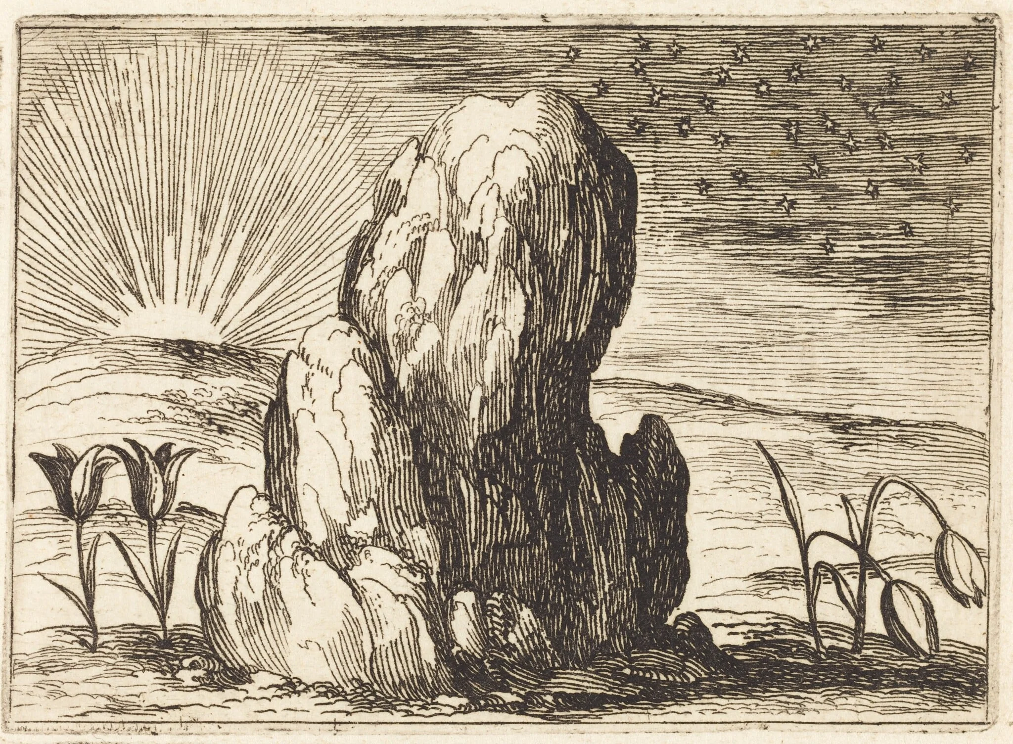 The Tulips and the Sun, by Jacques Callot, ink, 1628