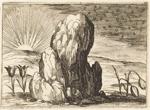 The Tulips and the Sun