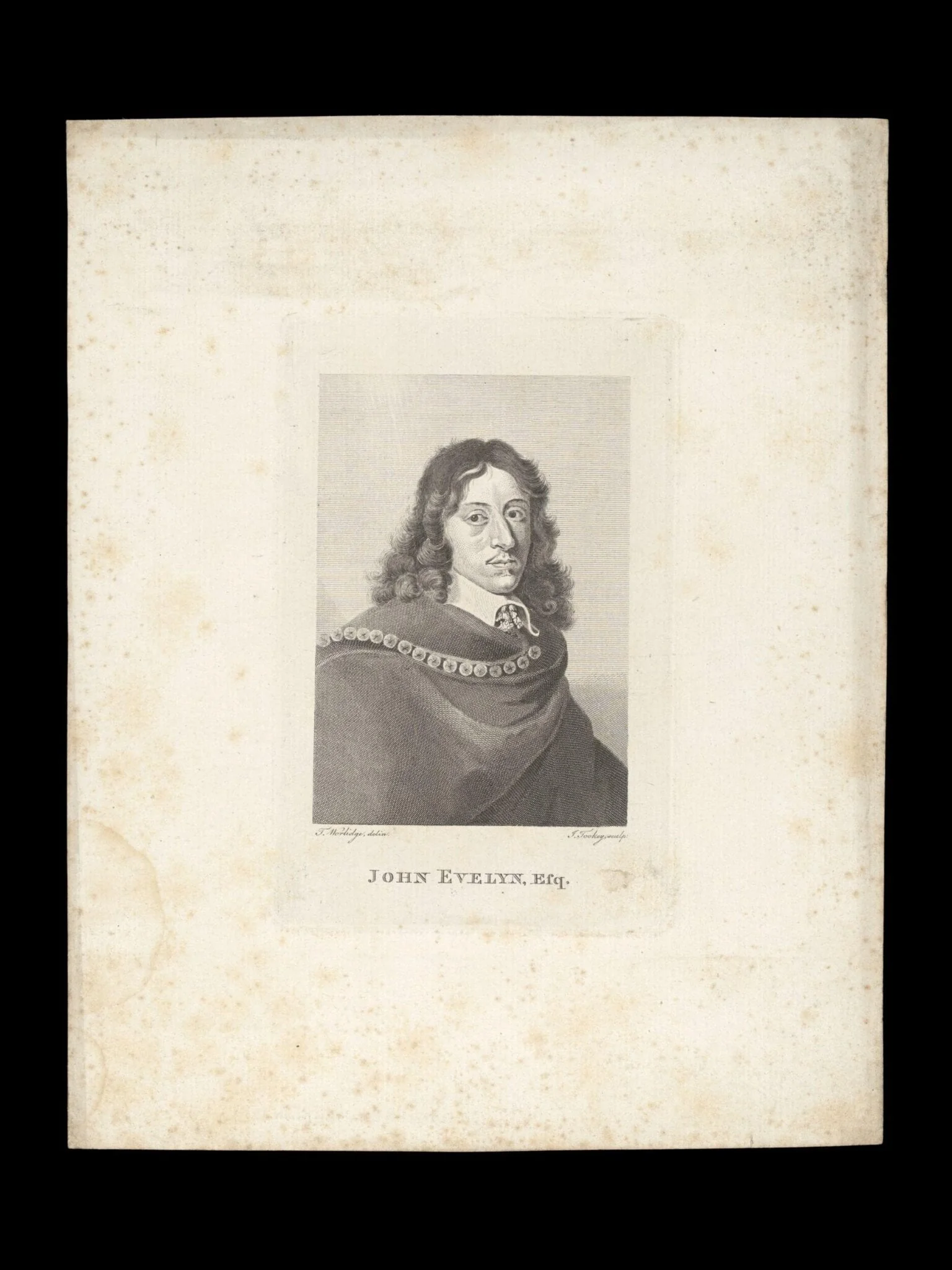 H Beard Print Collection