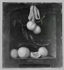 Stillife with oranges