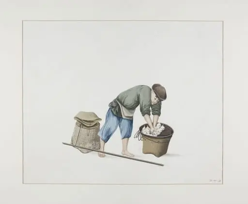 Man Selling Arowhead Plants