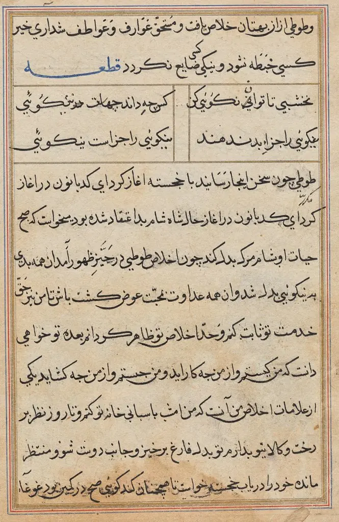 Page from Tales of a Parrot (Tuti-nama): text page